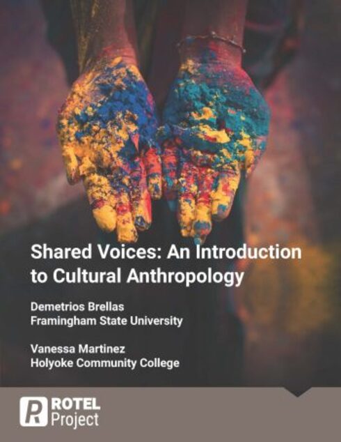 Read more about Shared Voices: An Introduction to Cultural Anthropology